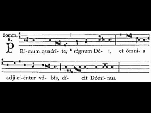 Dominica XIV post Pentecosten - Communio (Primum quaerite)