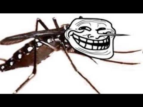 chikungunya by Mighty Honesty