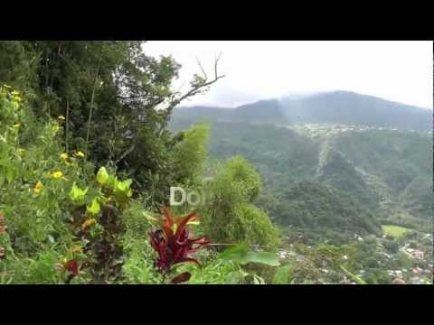 Discover Dominica, the Nature Island