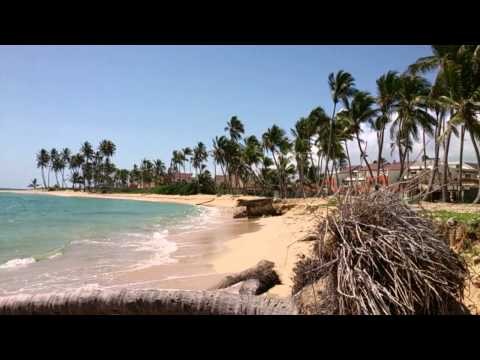 Exploracja (Karaiby punta-cana Dominican Republic)
