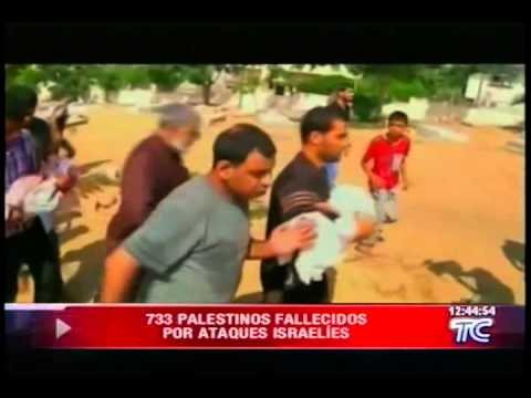 733 palestinos fallecidos por ataques israeliÌes