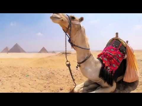 à¸—à¸±à¸§à¸£à¹Œà¸­à¸µà¸¢à¸´à¸›à¸•à¹Œ Tour Egypt : Visiting the Pyramids of 