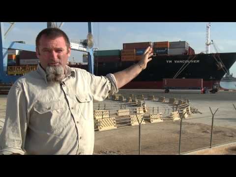 Live export - Egypt: Arrival and unloading