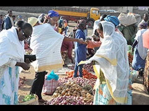 Eritrea: Farmers Market Opens in Godaif