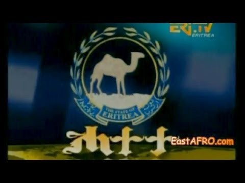 Eritrea: The Lampedusa Tragedy (PRESS RELEASE)