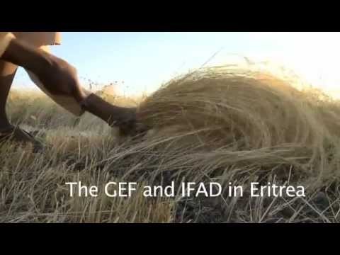 Eritrea: IFAD / GEF Partnership