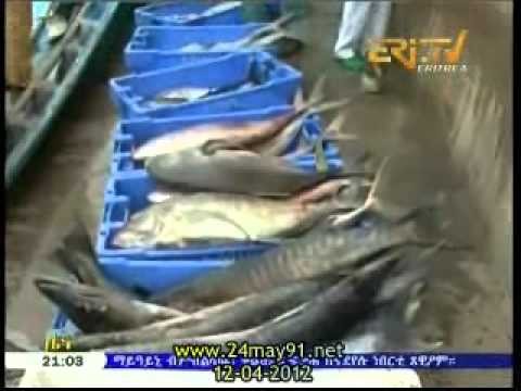 Eritrea - LIVE EriTV Tigrinya News from 12-04-2012