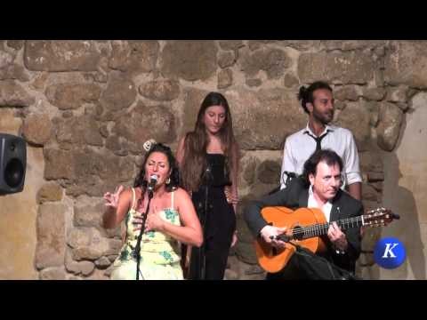Flamenco ãƒ•ãƒ©ãƒ¡ãƒ³ã‚³:Macarena de Jerez