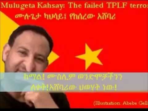 Abebe Gellaw the Lion-Hearted and TPLF assassins and thugs from dedebit/teg
