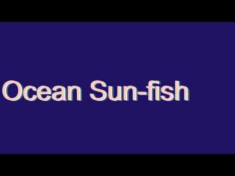 Ocean Sun-fish Definition