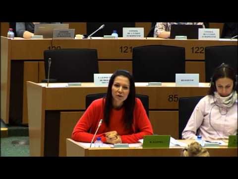 Barbara Kappel - Fragen an Jyrki Katainen ( EU-Kommissions VizeprÃ¤sident)