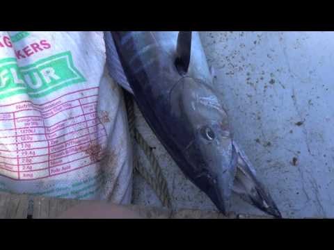 The Internet of Experiences:  RFID Fishing in Fiji for Yellowfin