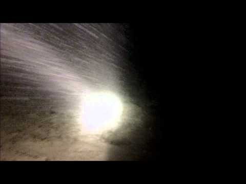 Night Snorkeling - Stingray - Fiji