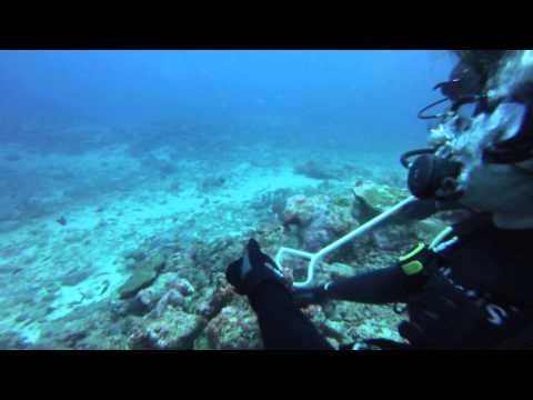 Diving with the Sharks Fiji 2013 Part 1
