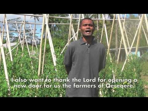 Creating Better Livelihoods for South Pacific Farming Families