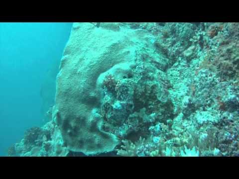 Poseidon Discovery MKVI Trip - Fiji