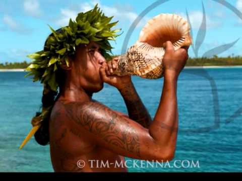 All Pasifik Islanders Melanesia Micronesia Polynesia