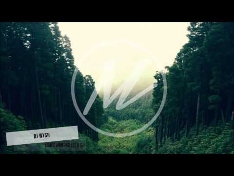DJ Wysh - Don't Want To Let U Go Remix
