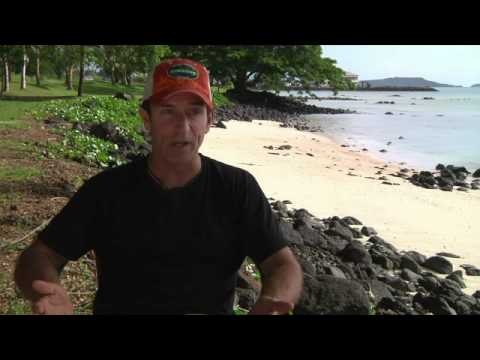 Survivor: Samoa - Jeff Probst Cast Assessment