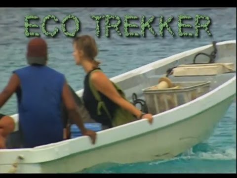 Globe Trekker - Eco Traveller: Turtle Island Micronesia