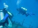 Wreck Diving Micronesia.AVI