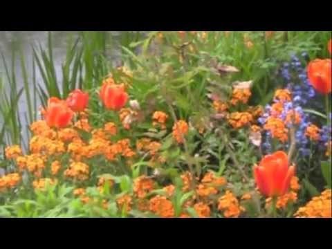Monet's Garden - Time to Partner 8