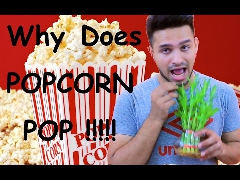 Why Popcorn Pops