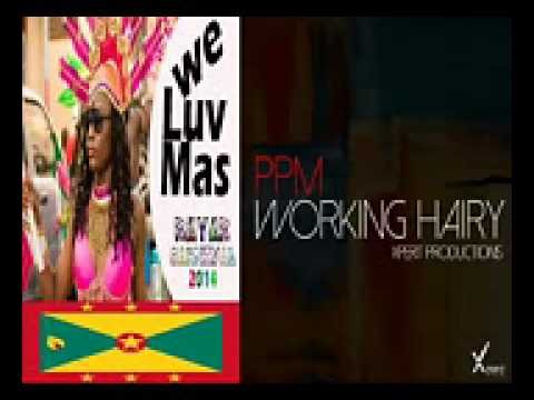 [NEW 2014] PPM - WORKING HAIRY - CARRIACOU SOCA 2014