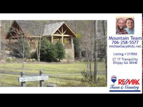 Land/Lot For Sale - LT 17 Tranquility