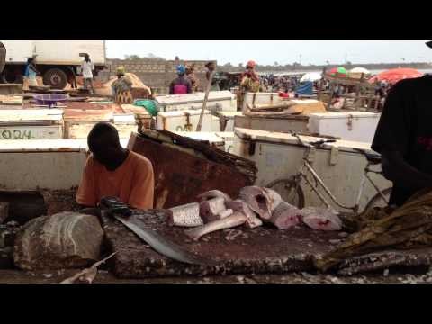 Tanji vismarkt in The Gambia