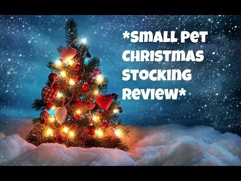 Pet-Brand Small Pet Stocking *Review*
