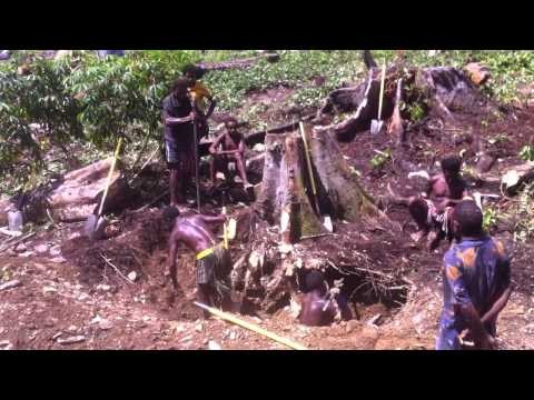 Airstrip Construction-Digging Out One Of The Last Tree Stumps