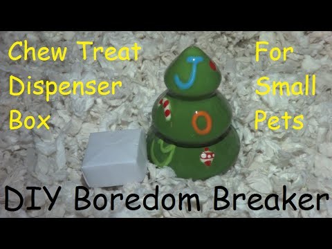 DIY Boredom Breaker Chew Treat Box for Small Pets.