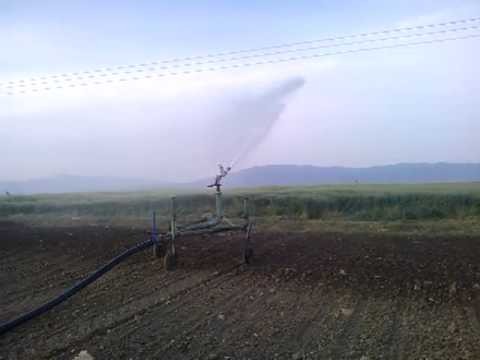 Î ÏŒÏ„Î¹ÏƒÎ¼Î± Î¼Îµ Î¼Ï€ÎµÎº-Irrigation with travelling sprinkler Armenio L