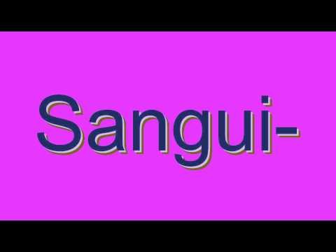 How to Pronounce Sangui-