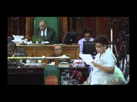 National Budget 2013: Presentation by Ms. Amna Ally