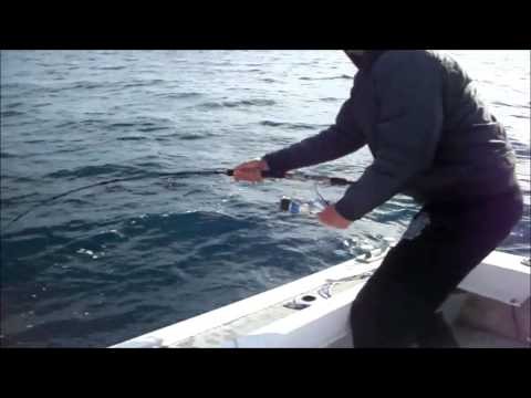 Big Game Fishing in Croatia - ''Artena'' - Catching The Little Tunny