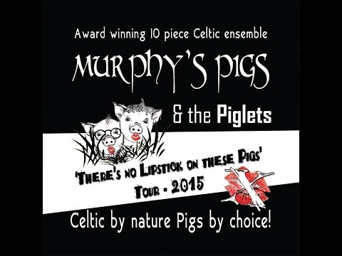 Murphy's Pigs TNLSOTP Tour 2015 \Tenterfield NSW\