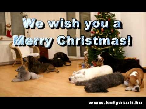 A doggy Christmas surprise - KarÃ¡csonyi kutyÃ¡s meglepetÃ©s