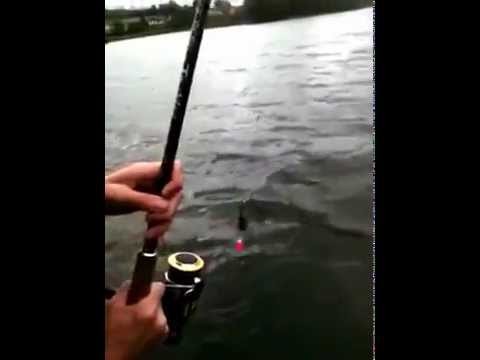 Pike fishing northern Ireland
