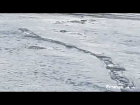 Iceland's 'Loch Ness' monster spotted?