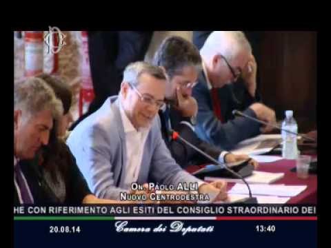 Roma - Audizione Mogherini e Pinotti su situazione Iraq (20.08.14)