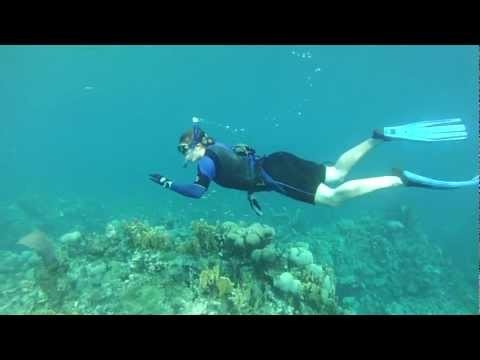 10ft Free dive in Montego Bay Jamaica