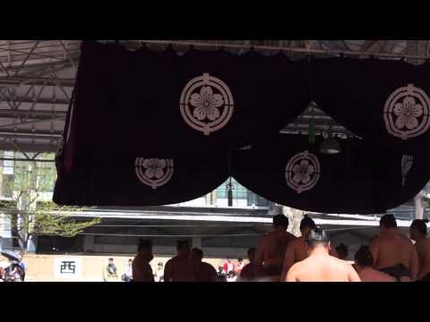 Sumo Event at the Yasukuni Shrine . Tokyo