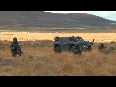 U.S.and Japanese Combined Arms Training