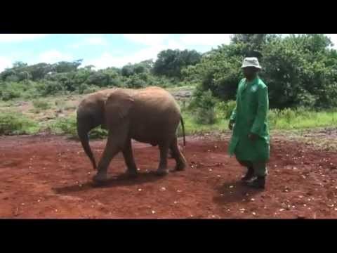 Africa Travelogue - Part 2 - Nairobi