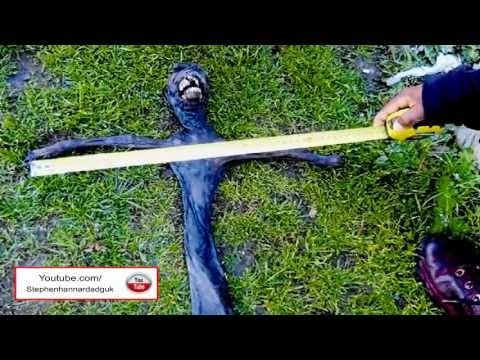 Bizarre Alien Corpse Found In South Africa 2013