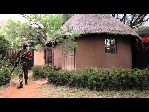 Kenyans take up arms to save wildlife