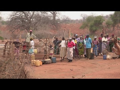 Kenya: Cueing up for Water. Stock Footage