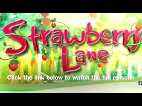 Strawberry Lane - November 4